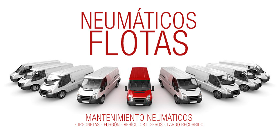 mantenimiento flotas
